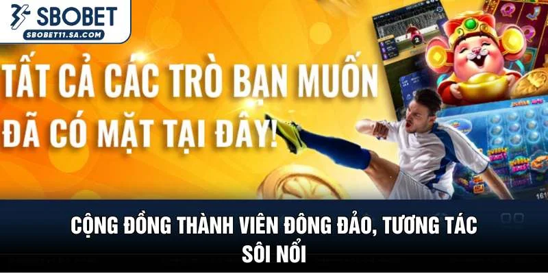 Cộng đồng thành viên đông đảo, tương tác sôi nổi