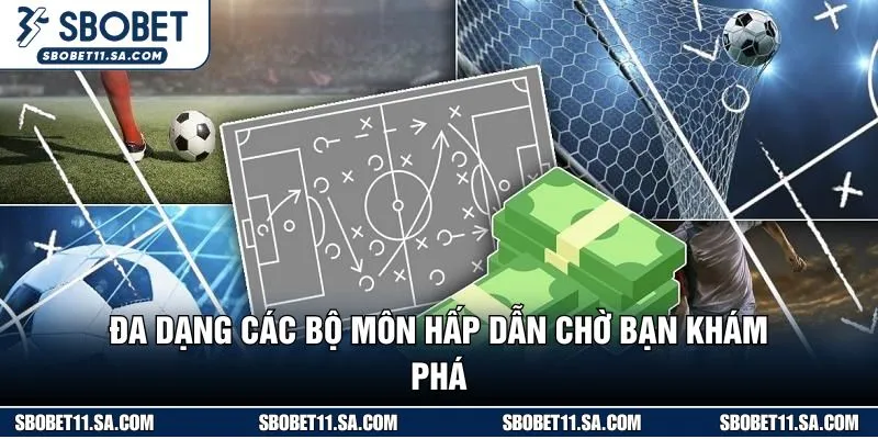 Đa dạng các bộ môn hấp dẫn chờ bạn khám phá