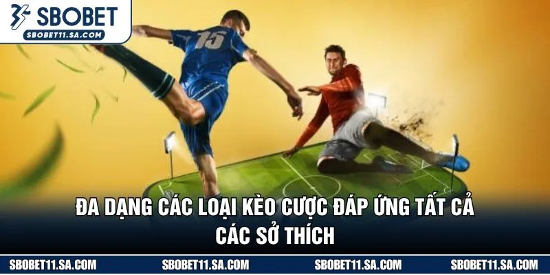 Đa dạng các loại kèo cược đáp ứng tất cả các sở thích