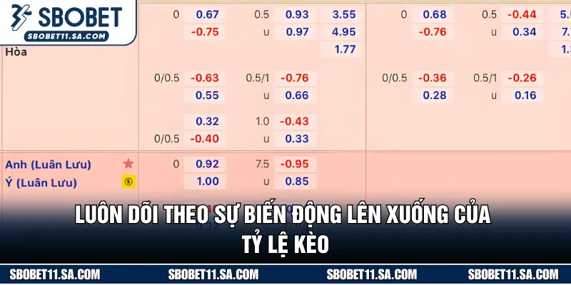 Mọi biến động trên bảng cược đều đang phản ánh xu hướng