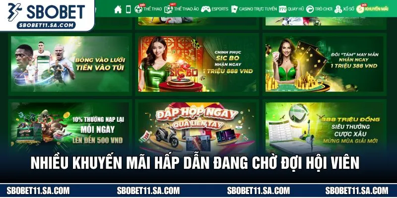 Nhiều khuyến mãi hấp dẫn đang chờ đợi hội viên