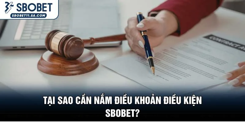 Tại sao cần nắm điều khoản điều kiện SBOBET?
