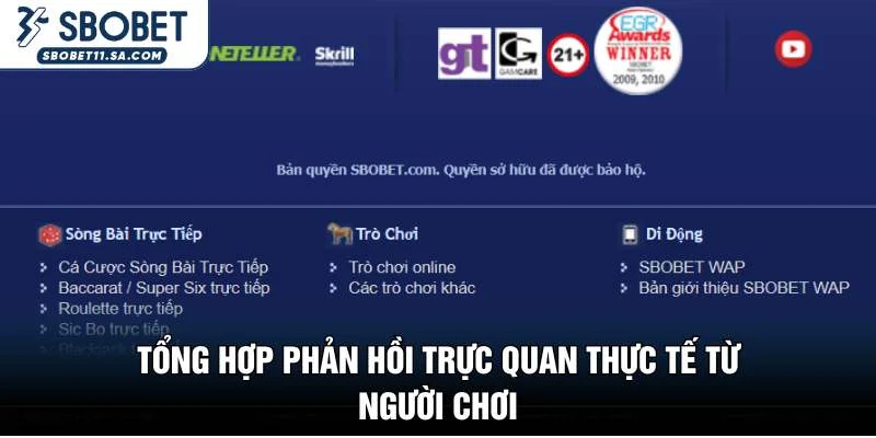 Tổng hợp phản hồi trực quan thực tế từ người chơi