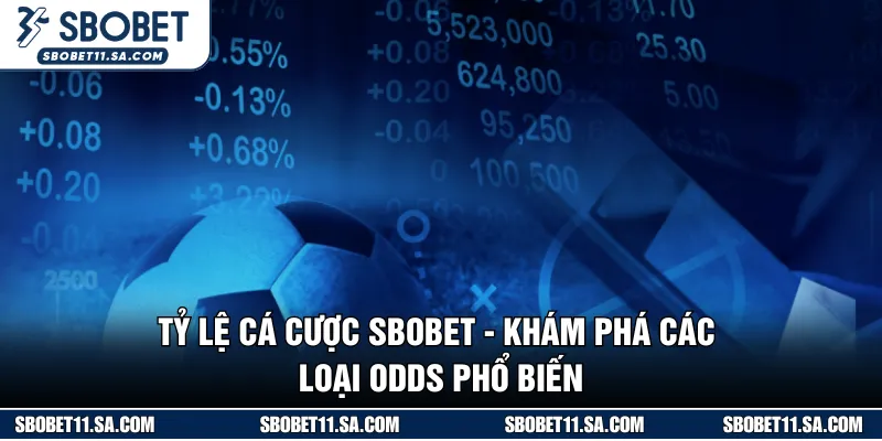 Tỷ Lệ Cá Cược SBOBET - Khám Phá Các Loại Odds Phổ Biến